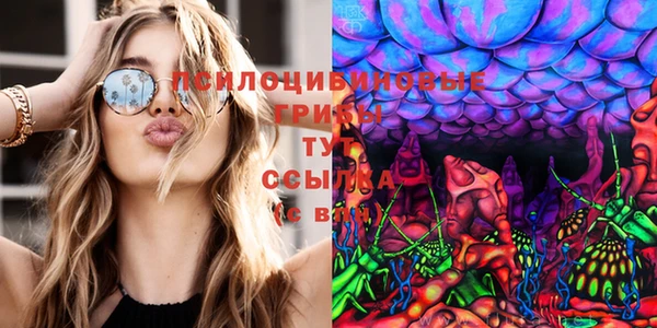 меф Заводоуковск
